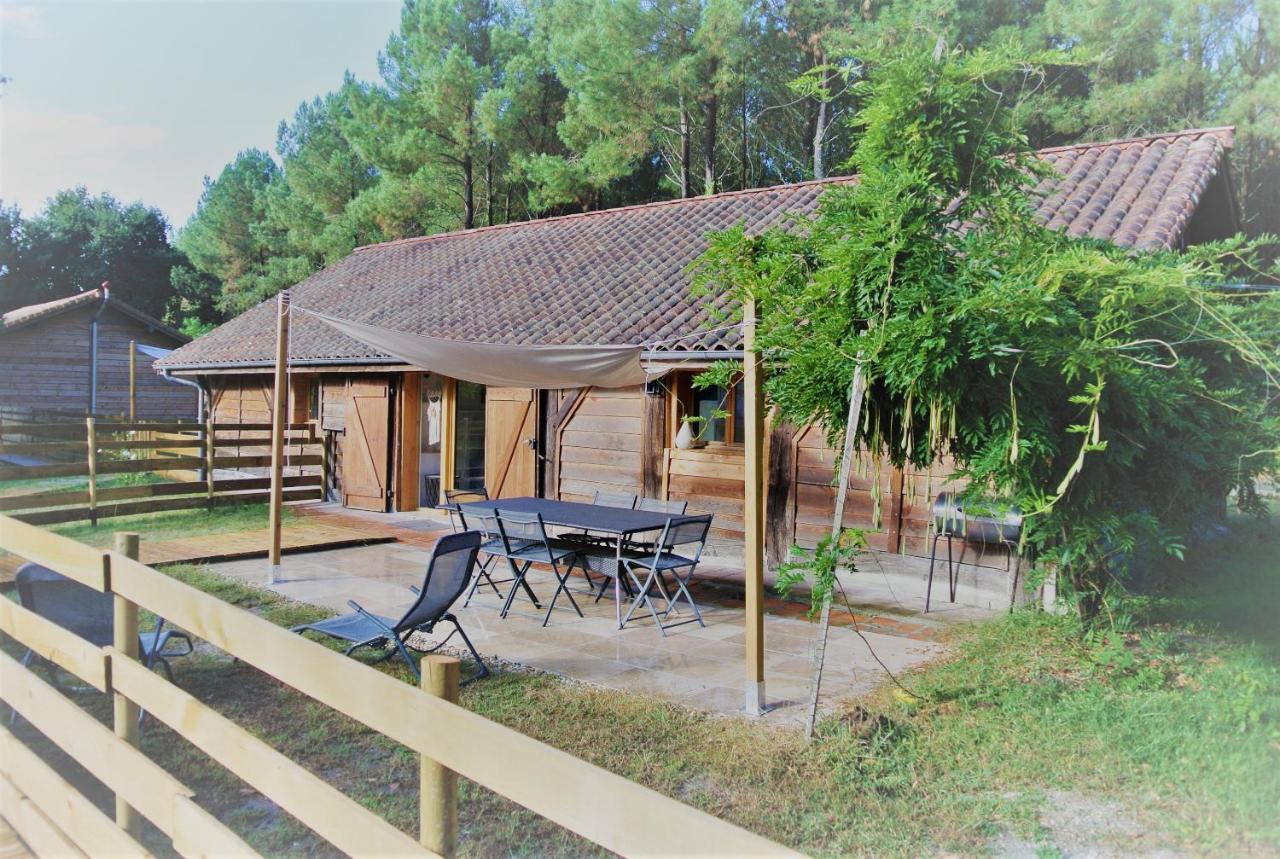 Les Gites Du Grand Chene Saint-Paul-en-Born Exteriör bild